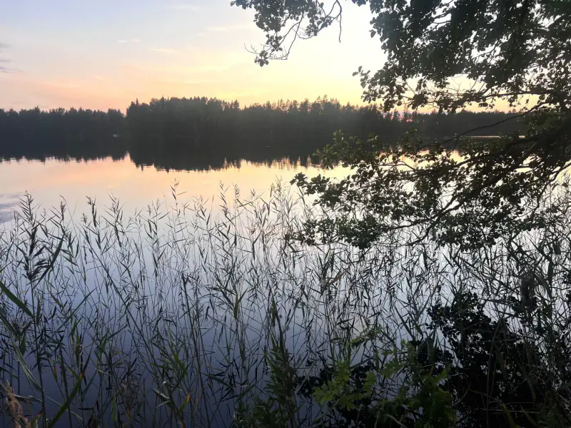 Terrain n°1 ~5 000 m², droit RA 250 k-m², rive ouest Puula / Ryökäsvesi — Lammasniemi / Hirvensalmi — 8