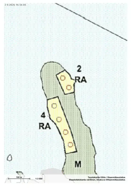 Terrain n°2 ~5 000 m², droit RA 250 k-m², rive ouest Puula / Ryökäsvesi — Lammasniemi / Hirvensalmi — 10