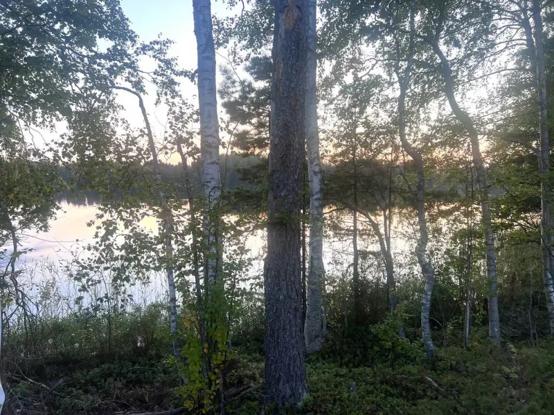 Terrain n°2 ~5 000 m², droit RA 250 k-m², rive ouest Puula / Ryökäsvesi — Lammasniemi / Hirvensalmi — 8