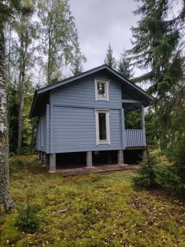 Mökki rondins île ~24,5 m² (2017) + sauna, 1 940 m², Kyrösjärvi — Kallionkieli / Ikaalinen — 5