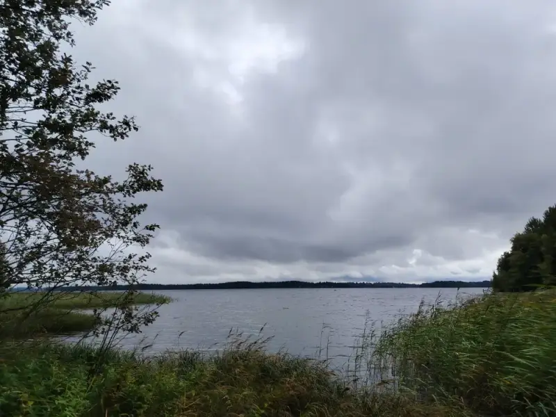 Mökki rondins île ~24,5 m² (2017) + sauna, 1 940 m², Kyrösjärvi — Kallionkieli / Ikaalinen — 11