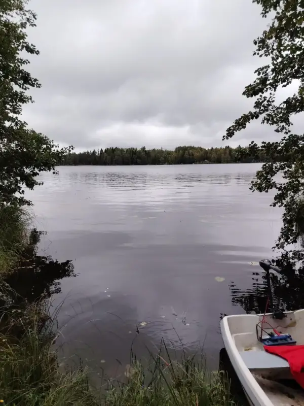 Mökki rondins île ~24,5 m² (2017) + sauna, 1 940 m², Kyrösjärvi — Kallionkieli / Ikaalinen — 10