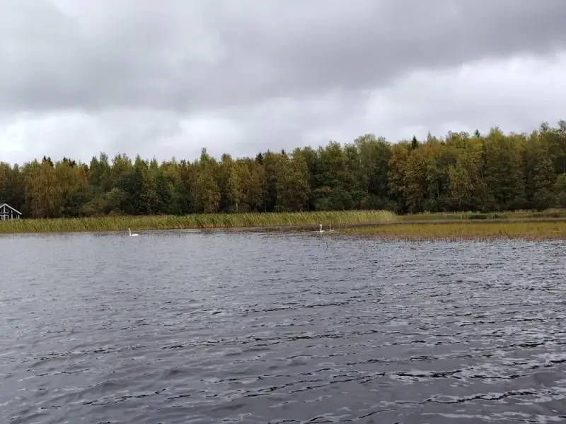 Mökki rondins île ~24,5 m² (2017) + sauna, 1 940 m², Kyrösjärvi — Kallionkieli / Ikaalinen — 9