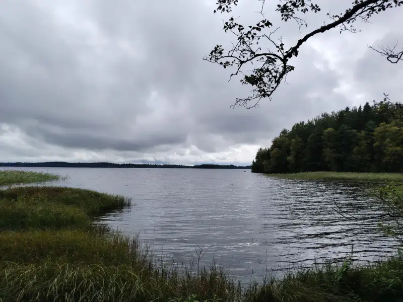 Mökki rondins île ~24,5 m² (2017) + sauna, 1 940 m², Kyrösjärvi — Kallionkieli / Ikaalinen — 12