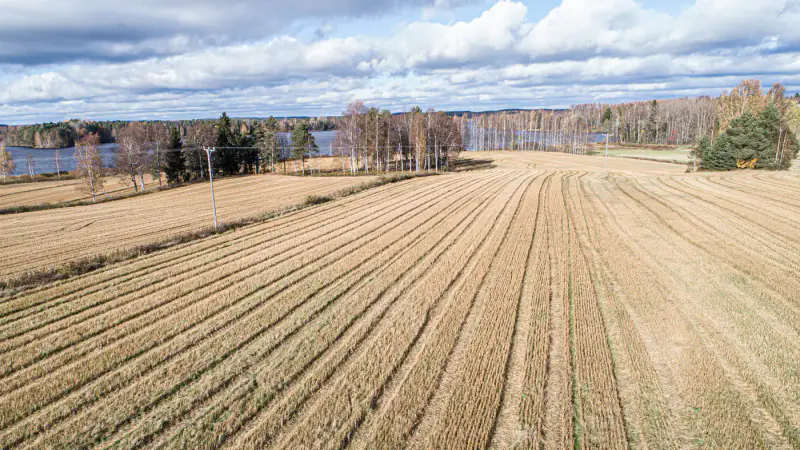 Maison 175 m² (1989) + ancienne ferme 1929, 4,47 ha et 57 m de rive sur le Kyrösjärvi — Tevaniemi / Ikaalinen — 4