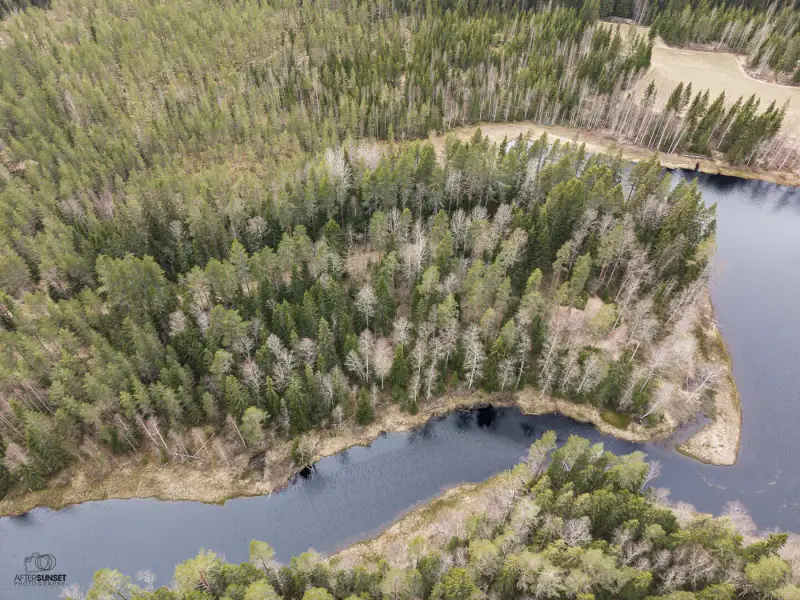 Terrain (määräala) Petäjäjärvi — Juhtimäki (Ikaalinen), ~0,3 ha, droits 100 m² — 10