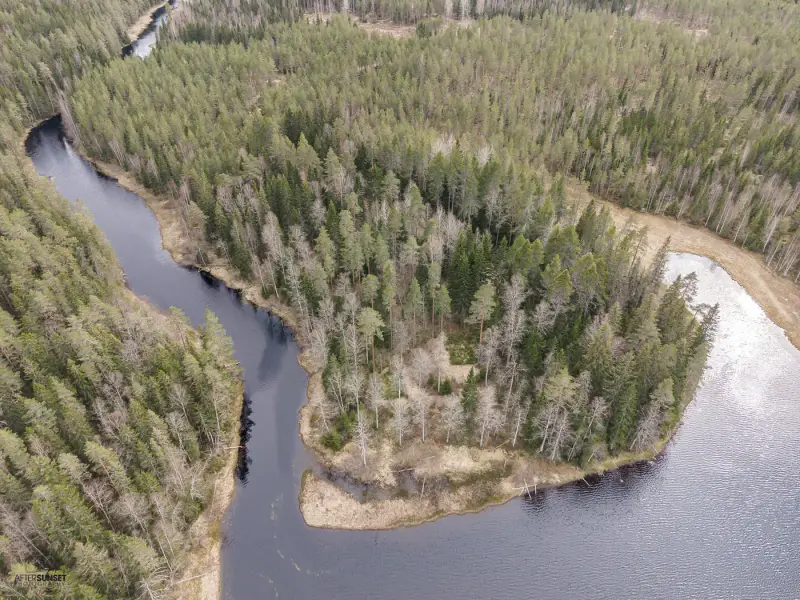 Terrain (määräala) Petäjäjärvi — Juhtimäki (Ikaalinen), ~0,3 ha, droits 100 m² — 4