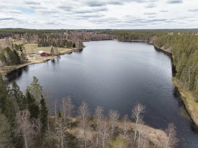 Terrain (määräala) Petäjäjärvi — Juhtimäki (Ikaalinen), ~0,3 ha, droits 100 m² — 7