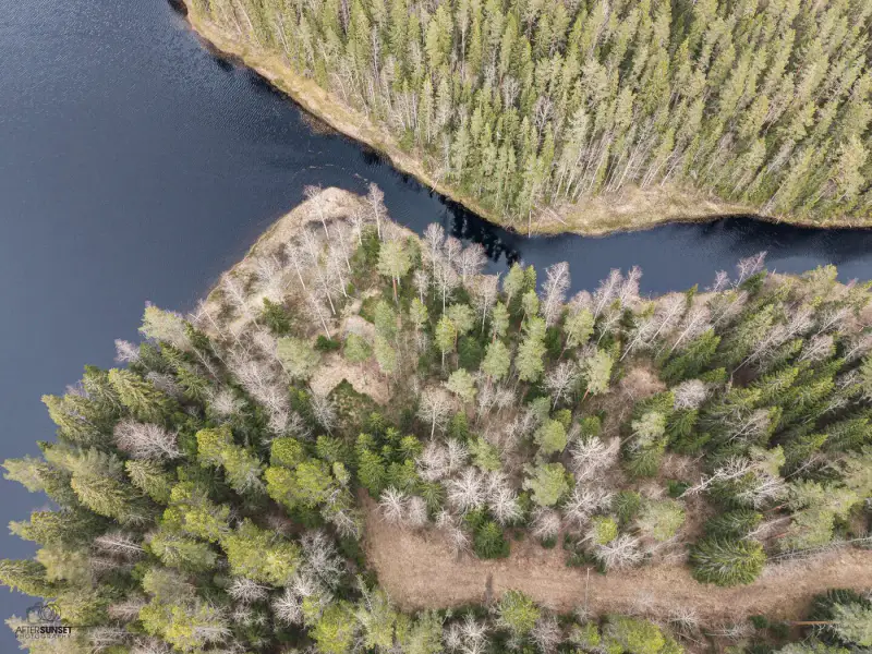 Terrain (määräala) Petäjäjärvi — Juhtimäki (Ikaalinen), ~0,3 ha, droits 100 m² — 11