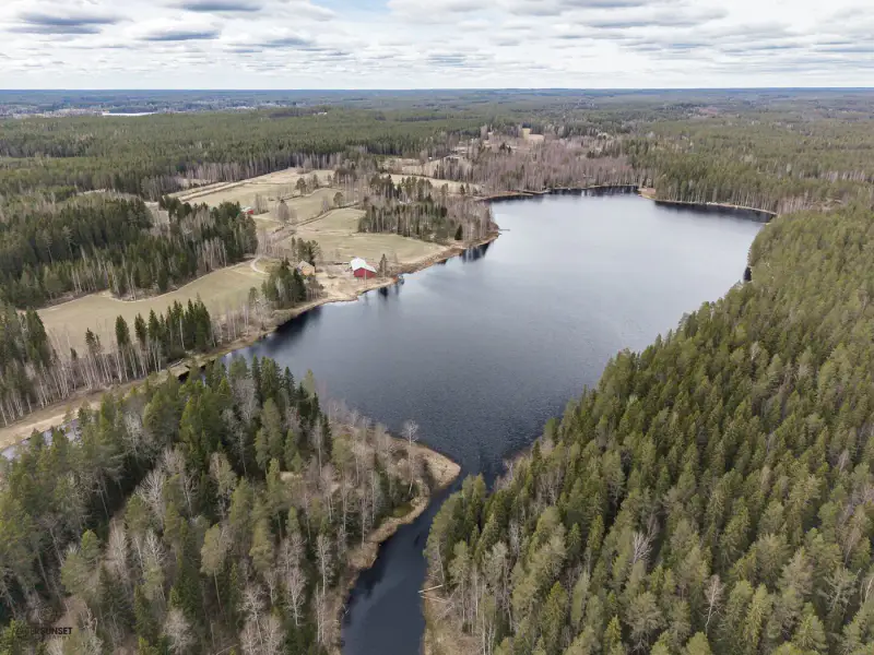Terrain (määräala) Petäjäjärvi — Juhtimäki (Ikaalinen), ~0,3 ha, droits 100 m² — 6