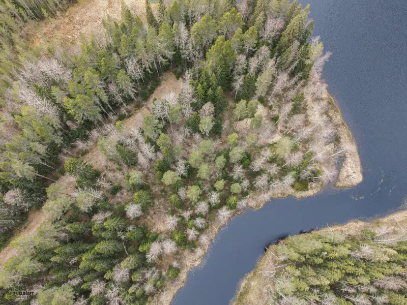 Terrain (määräala) Petäjäjärvi — Juhtimäki (Ikaalinen), ~0,3 ha, droits 100 m² — 9
