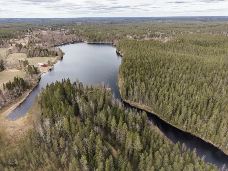 Terrain (määräala) Petäjäjärvi — Juhtimäki (Ikaalinen), ~0,3 ha, droits 100 m² — 12