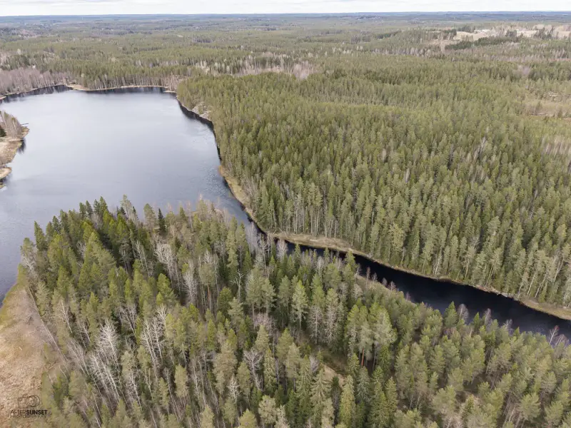 Terrain (määräala) Petäjäjärvi — Juhtimäki (Ikaalinen), ~0,3 ha, droits 100 m² — 8