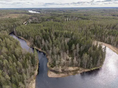 Terrain (määräala) Petäjäjärvi — Juhtimäki (Ikaalinen), ~0,3 ha, droits 100 m² — 1