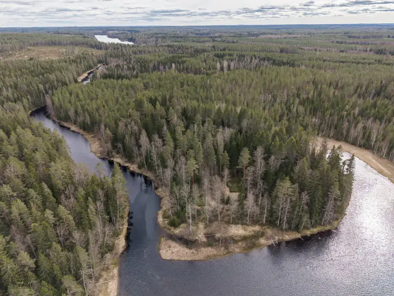 Terrain (määräala) Petäjäjärvi — Juhtimäki (Ikaalinen), ~0,3 ha, droits 100 m² — 1