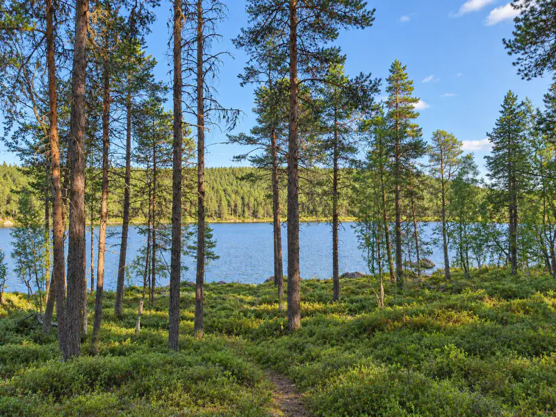 Hirsimaja ~24 m² + sauna, ~4,8 ha (~100 m rive), Muddusjärvi — Pitkävuono / Inari — 8
