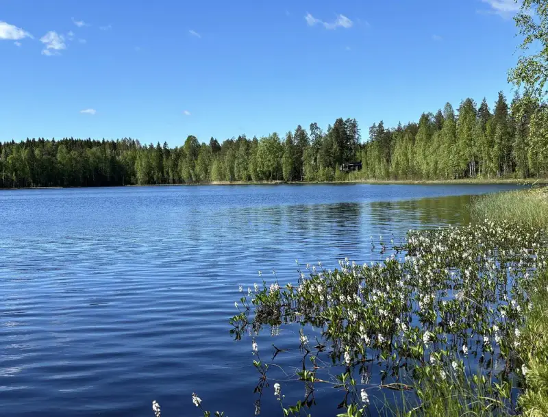 Mökki ~30 m² (1999) + sauna/saunakamari, 2 100 m² et rive sud — Myllyjärvi / Jämsä — 4