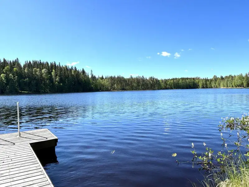 Mökki ~30 m² (1999) + sauna/saunakamari, 2 100 m² et rive sud — Myllyjärvi / Jämsä — 5