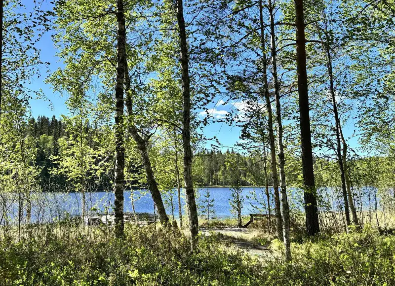 Mökki ~30 m² (1999) + sauna/saunakamari, 2 100 m² et rive sud — Myllyjärvi / Jämsä — 8