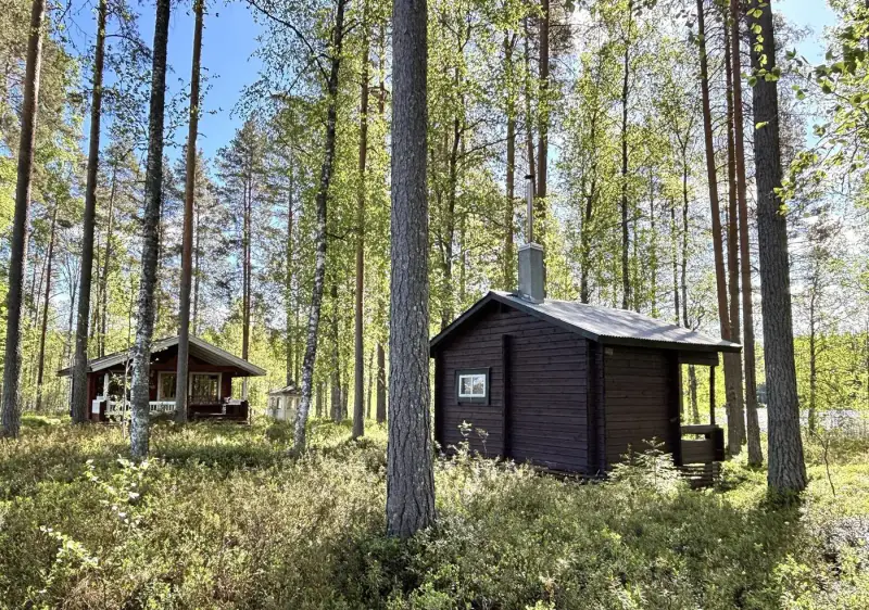 Mökki ~30 m² (1999) + sauna/saunakamari, 2 100 m² et rive sud — Myllyjärvi / Jämsä — 18