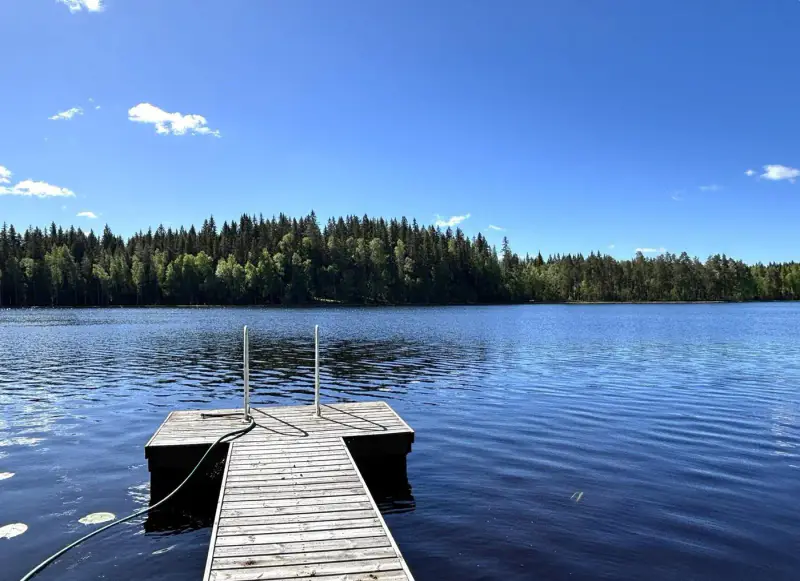 Mökki ~30 m² (1999) + sauna/saunakamari, 2 100 m² et rive sud — Myllyjärvi / Jämsä — 1
