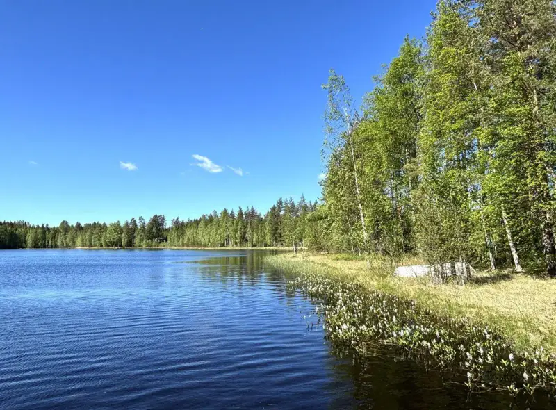 Mökki ~30 m² (1999) + sauna/saunakamari, 2 100 m² et rive sud — Myllyjärvi / Jämsä — 15