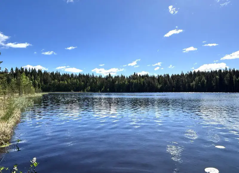 Mökki ~30 m² (1999) + sauna/saunakamari, 2 100 m² et rive sud — Myllyjärvi / Jämsä — 14