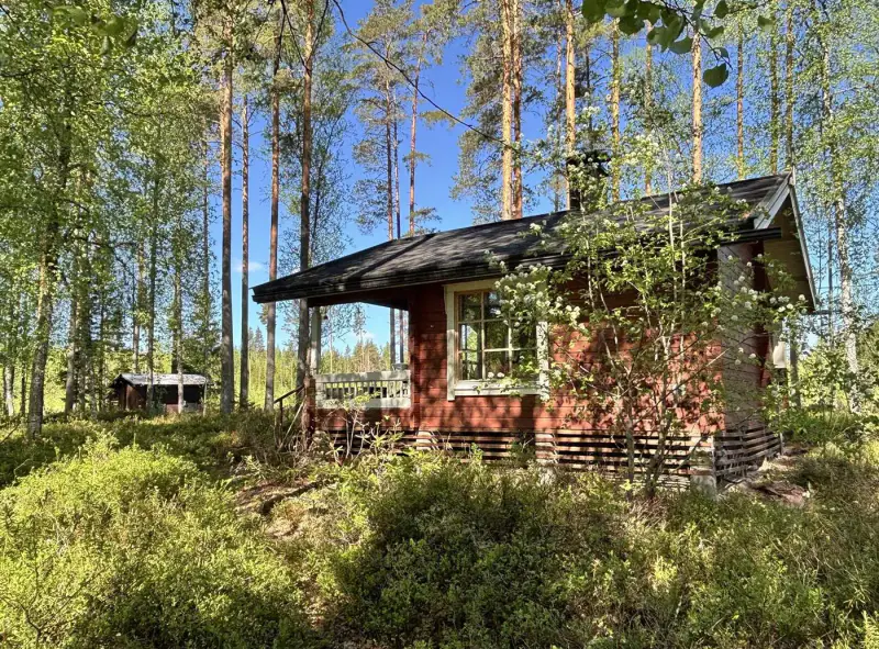 Mökki ~30 m² (1999) + sauna/saunakamari, 2 100 m² et rive sud — Myllyjärvi / Jämsä — 11