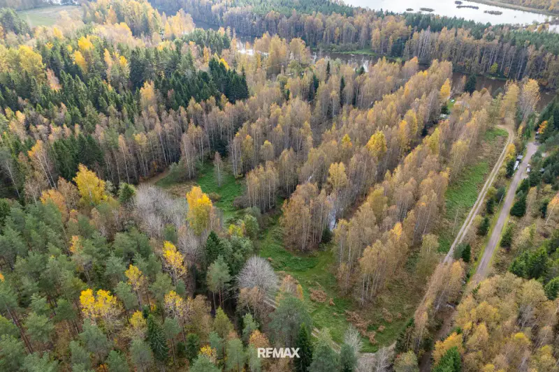 Terrain de loisirs 1,45 ha avec petite plage privée sur la Puujoki, droit à bâtir 100 m² — Leppäkoski / Janakkala — 7