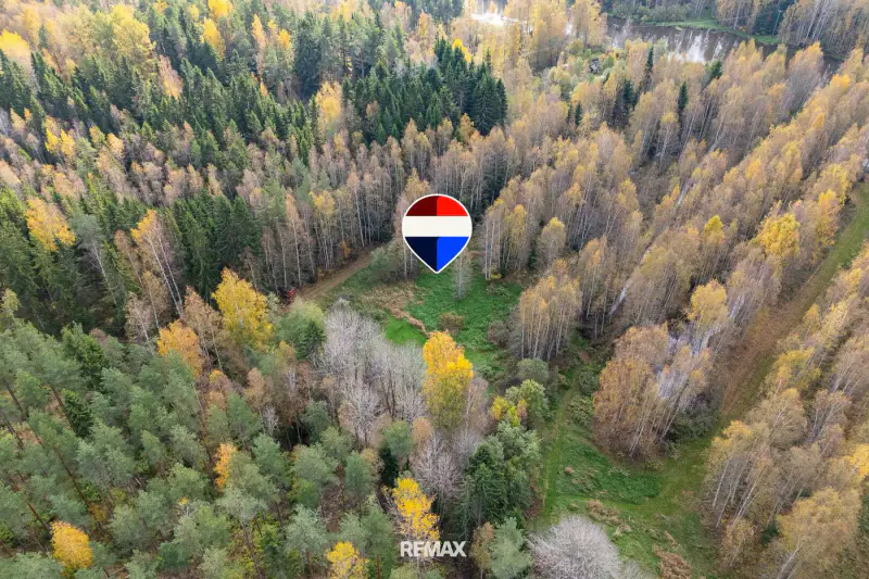 Terrain de loisirs 1,45 ha avec petite plage privée sur la Puujoki, droit à bâtir 100 m² — Leppäkoski / Janakkala — 9