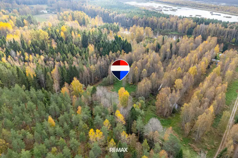 Terrain de loisirs 1,45 ha avec petite plage privée sur la Puujoki, droit à bâtir 100 m² — Leppäkoski / Janakkala — 8