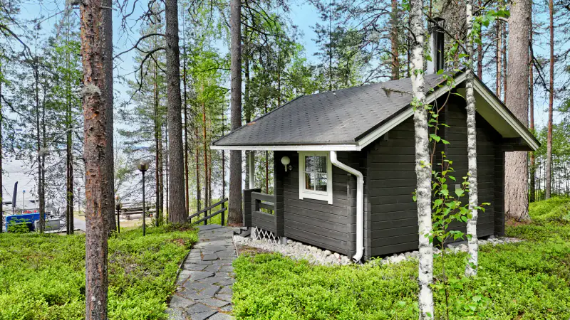 Mökki ~84 m² (1999) + rantasauna, ~1,78 ha (~200 m rive), Pielinen/Rukavesi — Uimaharju / Joensuu — 8
