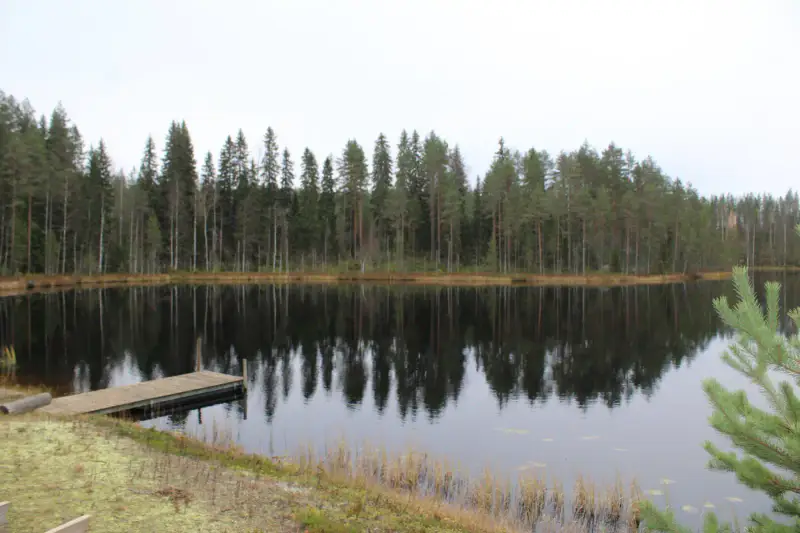 Mökki ~46 m² avec sauna, seul sur un étang poissonneux, 5 000 m² — Särkäntakanen / Mannervaara — 1
