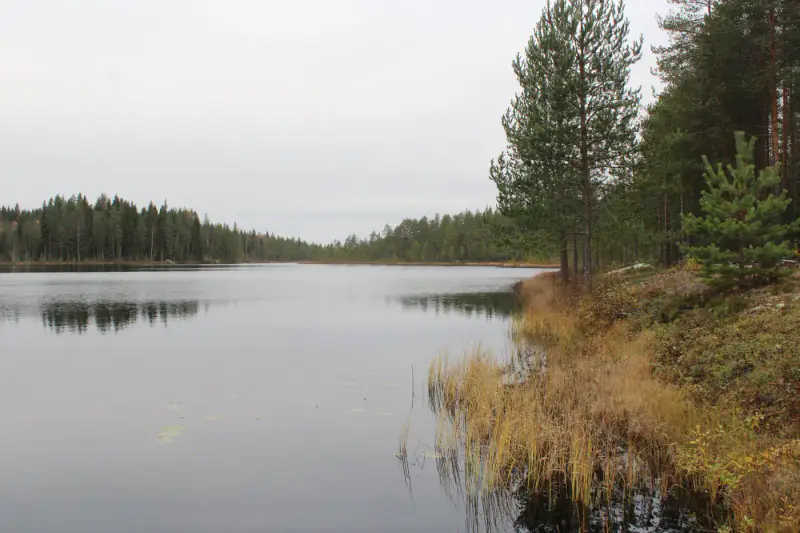 Mökki ~46 m² avec sauna, seul sur un étang poissonneux, 5 000 m² — Särkäntakanen / Mannervaara — 7