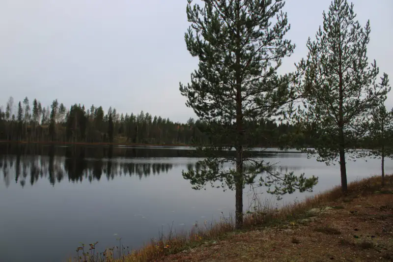 Mökki ~46 m² avec sauna, seul sur un étang poissonneux, 5 000 m² — Särkäntakanen / Mannervaara — 14