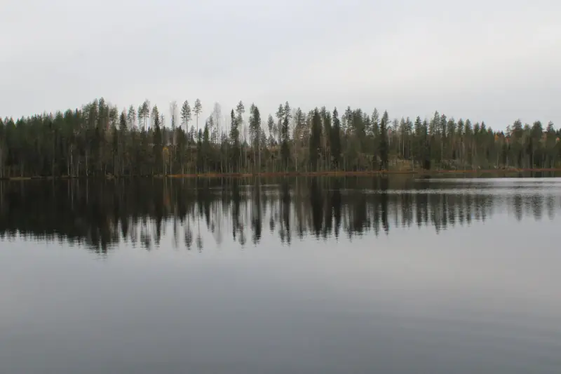 Mökki ~46 m² avec sauna, seul sur un étang poissonneux, 5 000 m² — Särkäntakanen / Mannervaara — 15