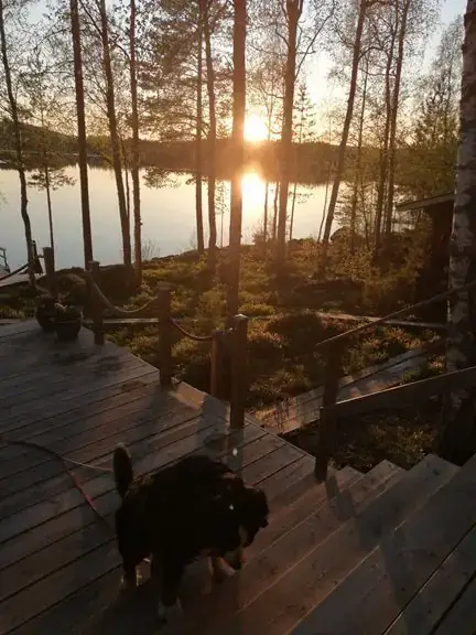 Mökki rondins + rantasauna, 4 900 m², Loitimo / Karhunlahti — Oskola / Joensuu — 13