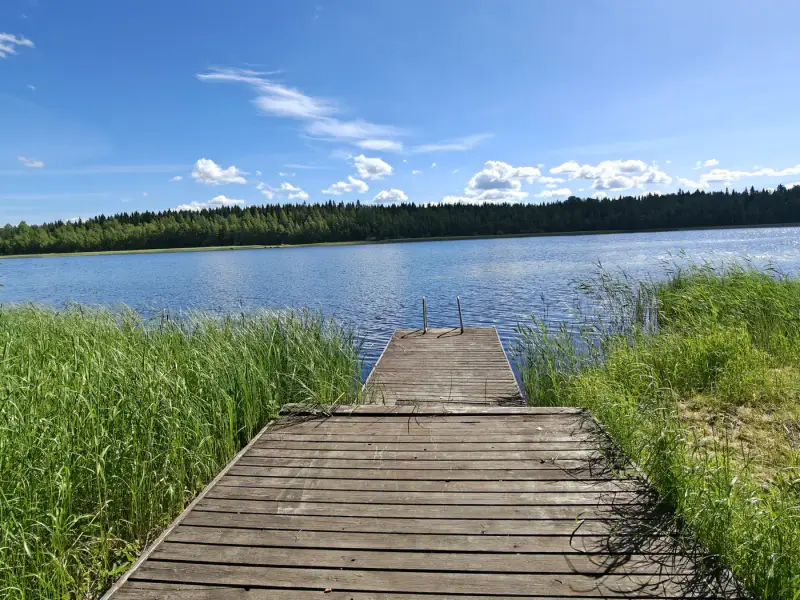 Chalet en rondins de 55 m² avec sauna de rive, rive privée de 50 m sur le Nurmaanjärvi — Joutsa — 3