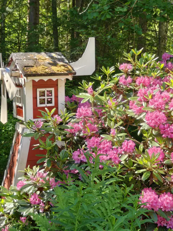 Chalet en rondins de 55 m² avec sauna de rive, rive privée de 50 m sur le Nurmaanjärvi — Joutsa — 18
