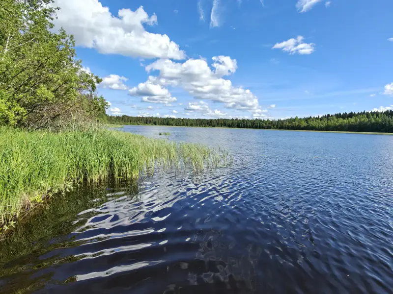 Chalet en rondins de 55 m² avec sauna de rive, rive privée de 50 m sur le Nurmaanjärvi — Joutsa — 7