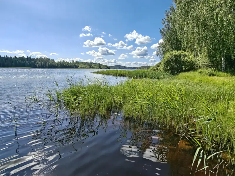 Chalet en rondins de 55 m² avec sauna de rive, rive privée de 50 m sur le Nurmaanjärvi — Joutsa — 2