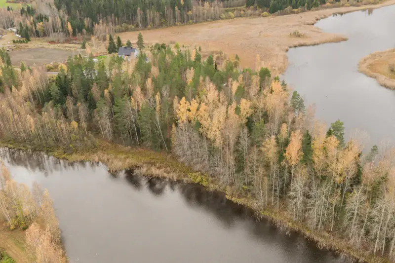 Maison de vacances (73 m², 1993) sur une presqu’île, 4 045 m² et deux rives privées sur le Päijänne — Korpilahti, Jyväskylä — 4
