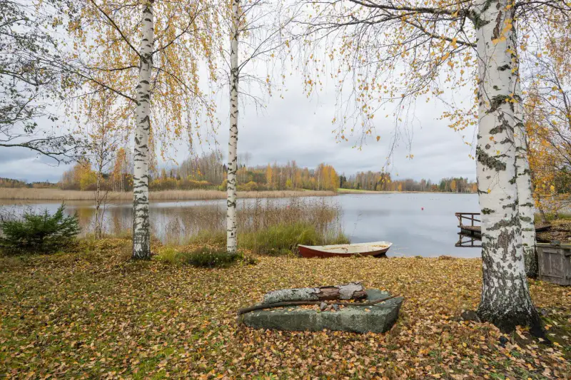 Maison de vacances (73 m², 1993) sur une presqu’île, 4 045 m² et deux rives privées sur le Päijänne — Korpilahti, Jyväskylä — 15