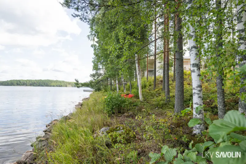 Terrain constructible 1 589 m², rive privée Leppävesi — Kaunisharju / Jyväskylä — 15