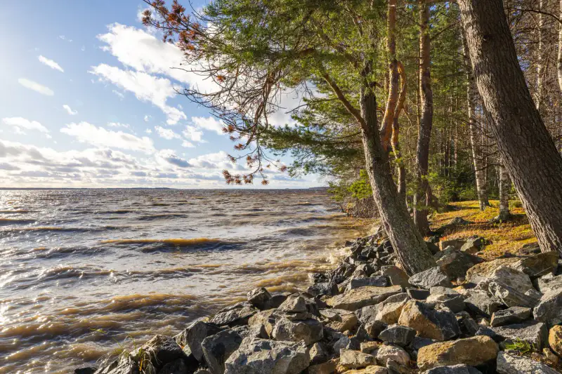 Chalet ~77 m² en finition + cuisine d’été, rive de sable privée sur l’Oulujärvi — Sivolanniemi / Kajaani — 5