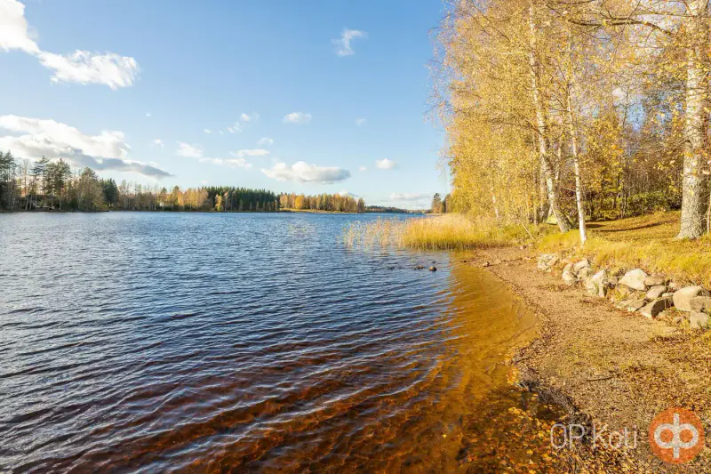 Mökki hirsi ~46 m² (1973, agrandi 2007) avec sauna, 3 000 m² et rive privée sur le Kyyvesi — Luusniemi / Kangasniemi — 3