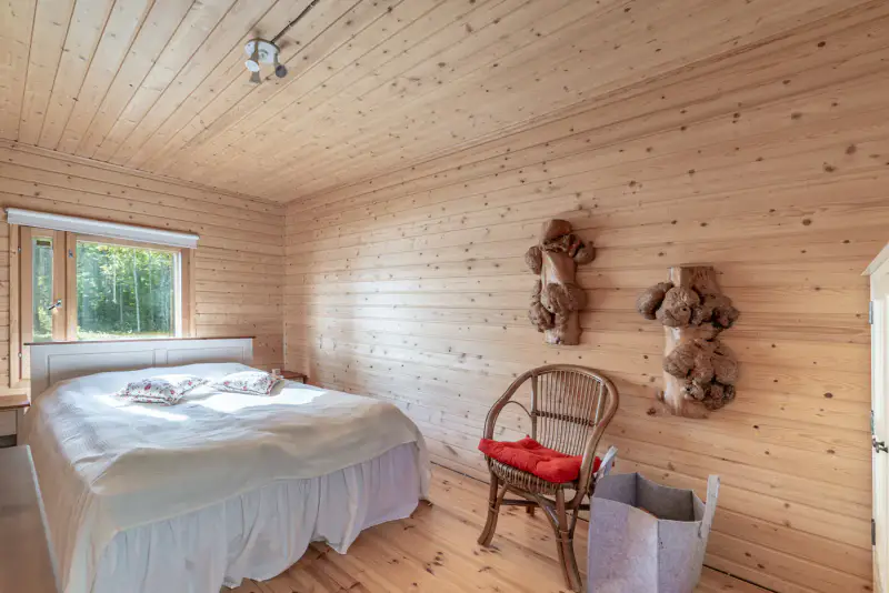 Mökki 1974 (~56 m²) + sauna, 2,46 ha rive Kutemajärvi — Kangasniemi — 10