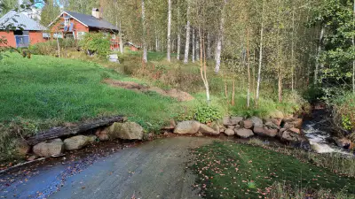 Chalet + maison d’hôtes, ~45 m rive Pääjärven luoma, 5 720 m² — Alahärmä / Kauhava — 1
