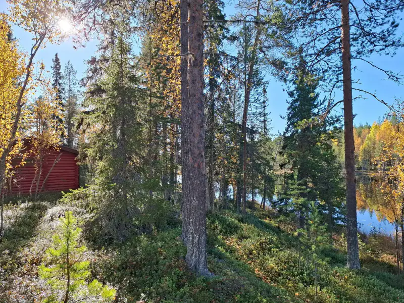 Mökki en rondins (vers 1988) + sauna, forêt 11,9 ha sur l’étang Alimmainen Hevoslampi — Suomu / Kemijärvi — 8