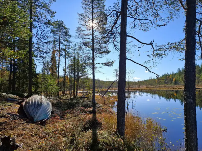 Mökki en rondins (vers 1988) + sauna, forêt 11,9 ha sur l’étang Alimmainen Hevoslampi — Suomu / Kemijärvi — 16